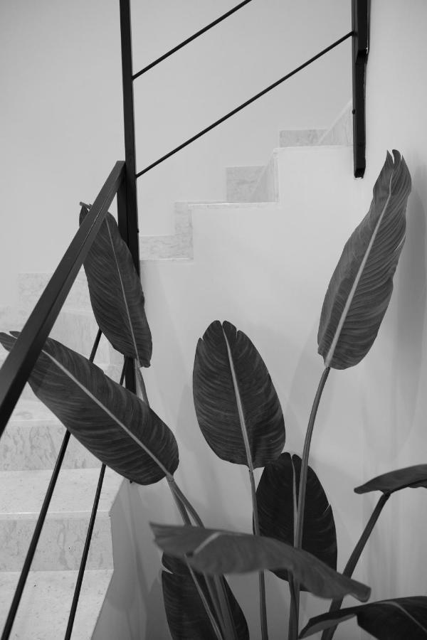 B&B Toci 볼라 외부 사진